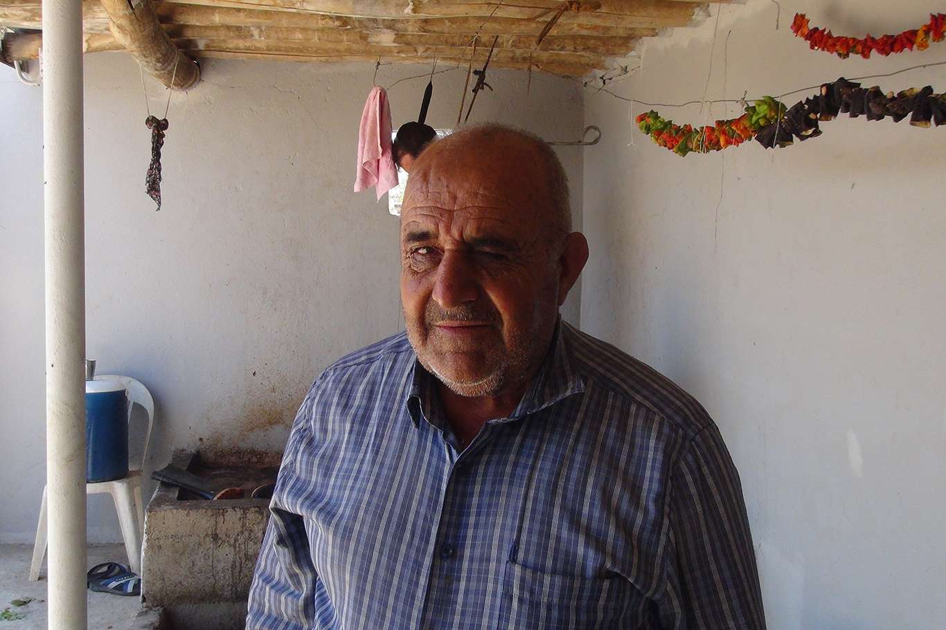 Üzümün pekmez ve pestil olma yolculuğu başladı